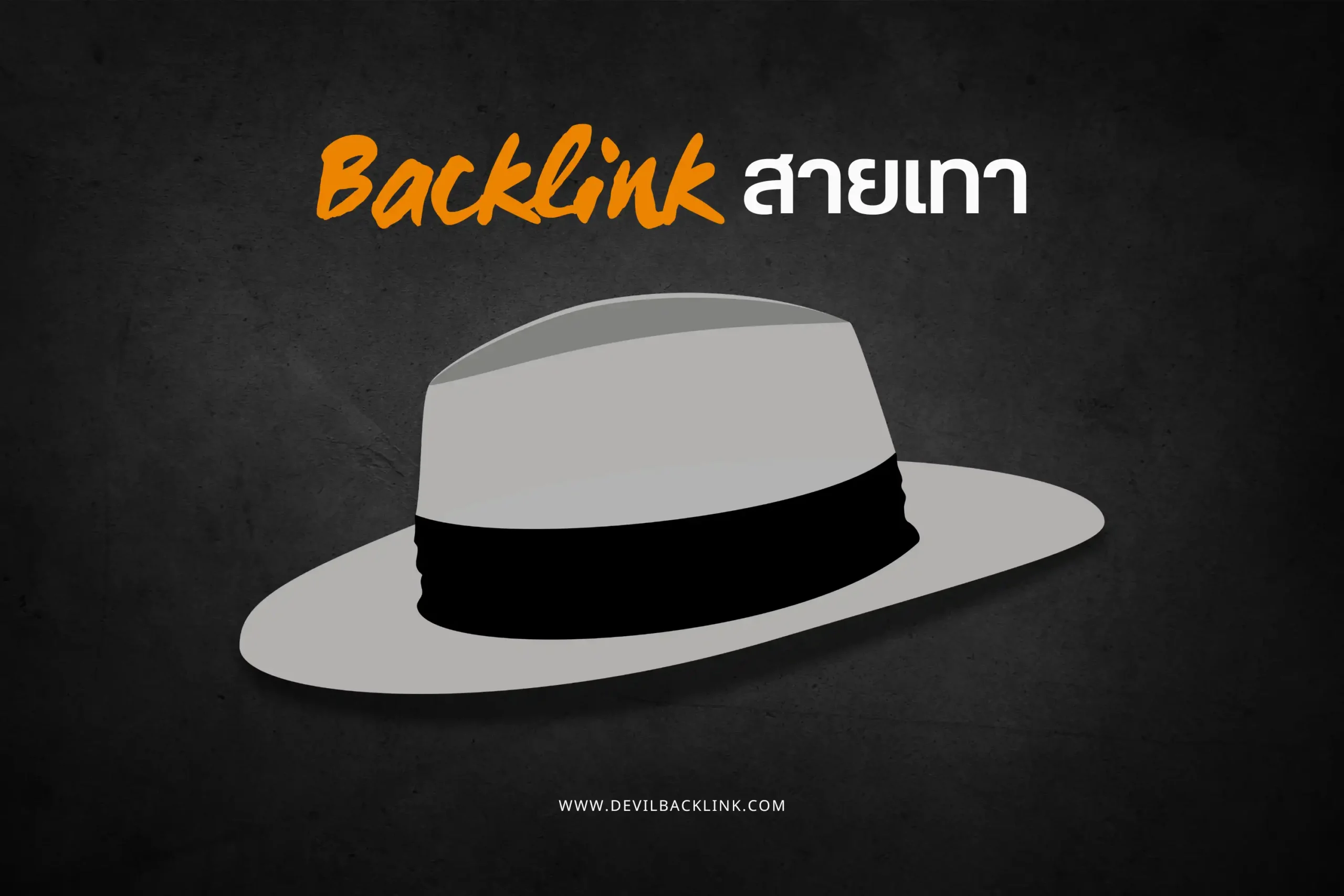 Backlink สายเทา-cover